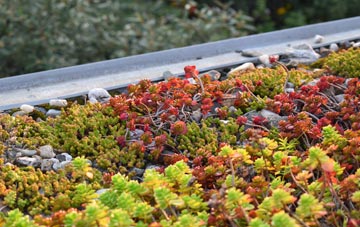 the cost of Sageston green roof installation