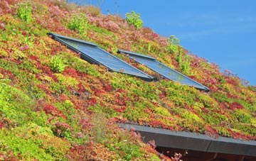 Sageston living roof systems