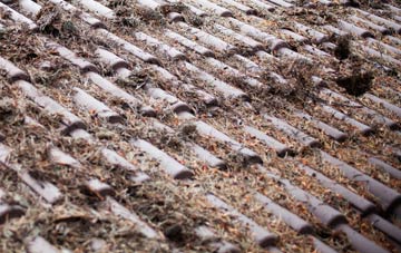 Sageston roof cleaning companies