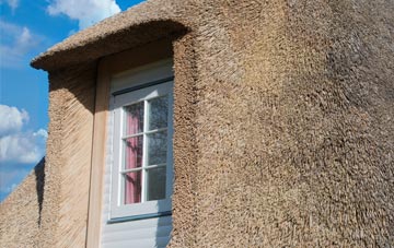 Sageston thatch roof disadvantages