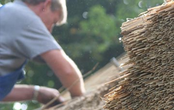 professional Sageston thatchers