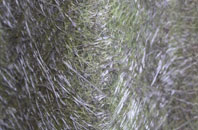 Sageston fibreglass roof work