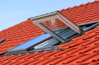 Sageston roof window